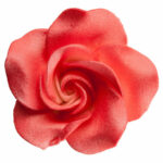 Piros gyöngyházas rózsa cukorvirág