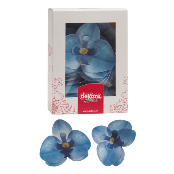 Kék ostya orchidea, 10 db