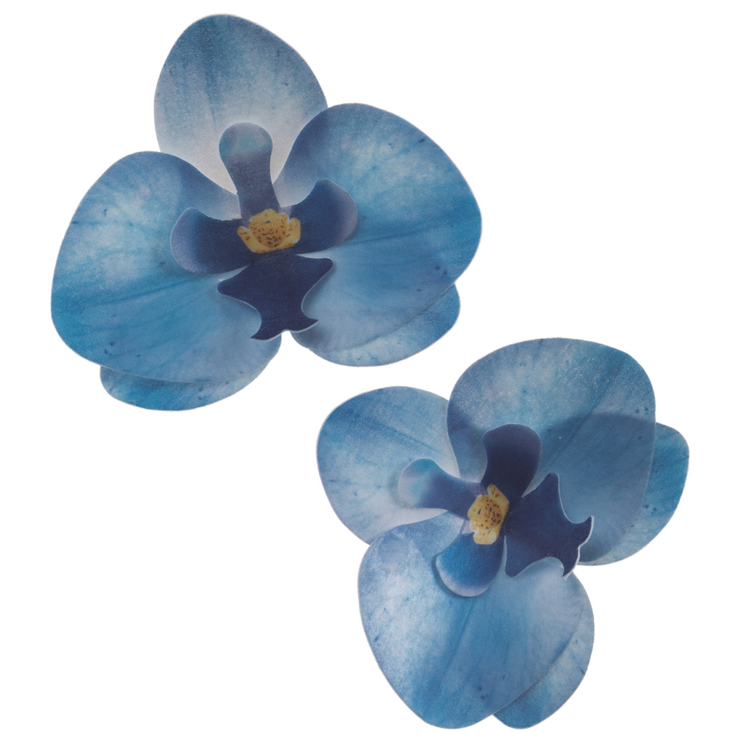 Kék ostya orchidea, 10 db tortákra