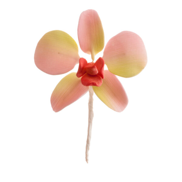 Orchidea cukorvirág sárga