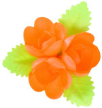 Narancssárga ostyavirág