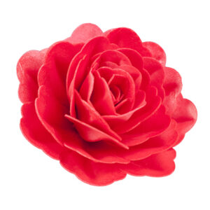 Nagy piros rózsa ostyavirág